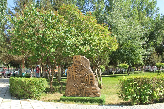 99.jpg